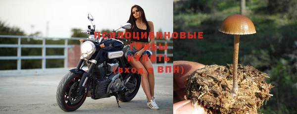 таблы Абинск