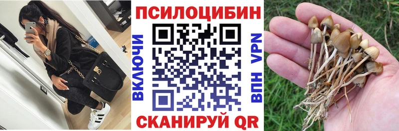 закладки  Ивантеевка  Псилоцибиновые грибы MAGIC MUSHROOMS 