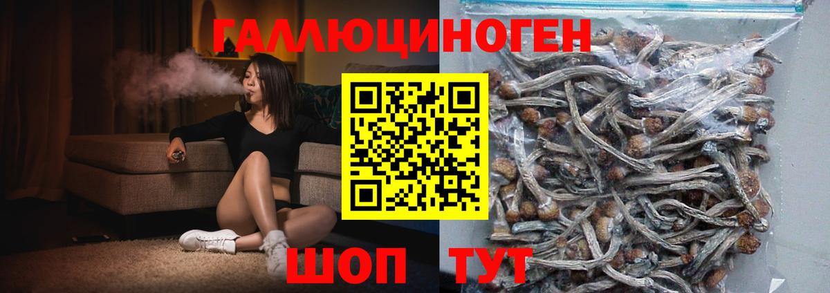 Псилоцибиновые грибы MAGIC MUSHROOMS Ивантеевка